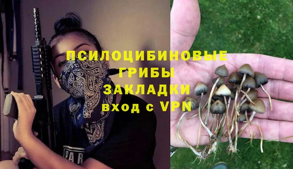 apvp Волоколамск