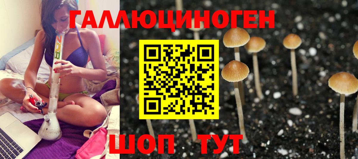 Ноябрьск  Галлюциногенные грибы Psilocybe  Вход с VPN  Галлюциногенные грибы GOLDEN TEACHER 
